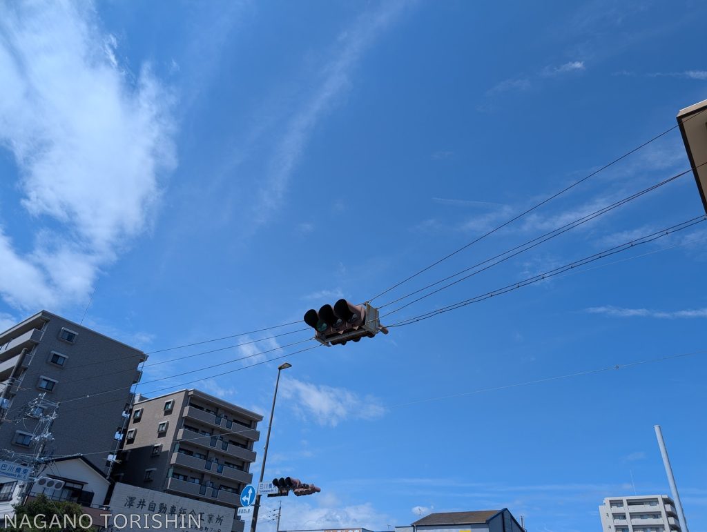 全景